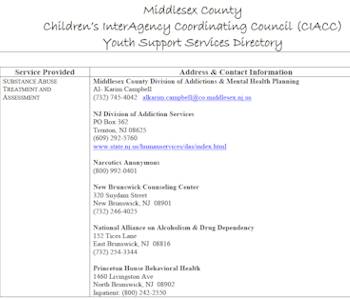 Youth Support Services