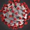 COVID-19 virus