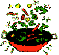 wok and veggies