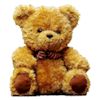 teddy bear